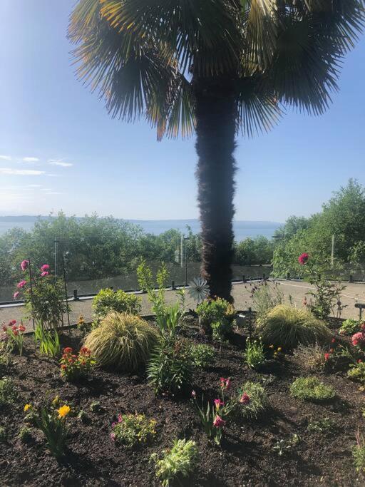 1-Bedroom Seaview Guesthouse On Seattle Luxury Estate With Views Of Olympic Mountains Exterior foto